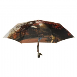 3 folding umbrella with full color printing