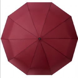 Auto Open Close Lightweight Umbrella with 10 Rib Construction