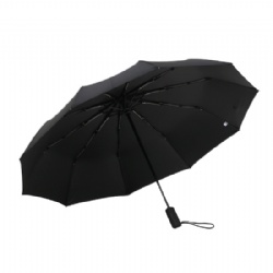 10 Ribs Auto Open Close Custom Travel Umbrella