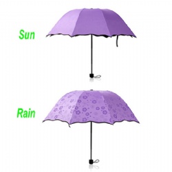 Color Changing Compact Umbrella with Met Water Begin Bloom